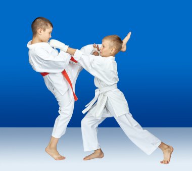 Sporcu karategi içinde karate darbeler isabet vardır