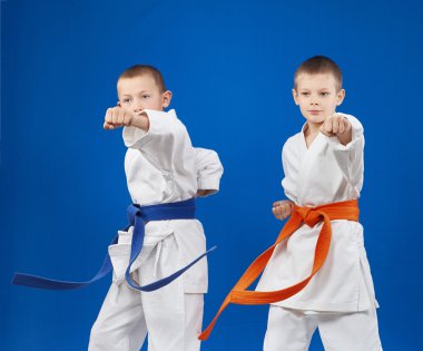 Karategi yener darbeler el çocuklarda