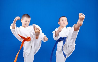 Tekme bacak ileri sporcular karategi içinde dayak