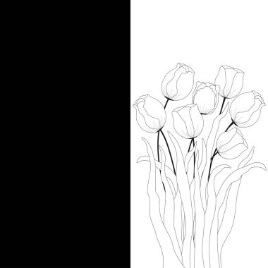 Card with bouquet of white tulips