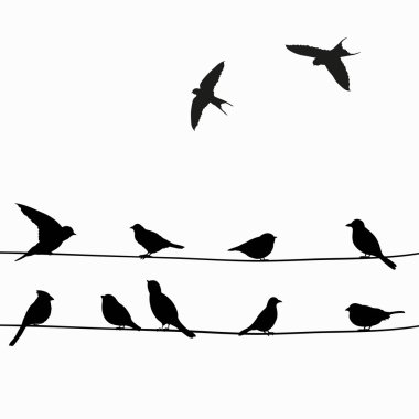 Bir tel üzerinde sevimli siyah kuşlar