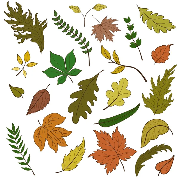 Векторний набір барвистих листя — стоковий вектор
