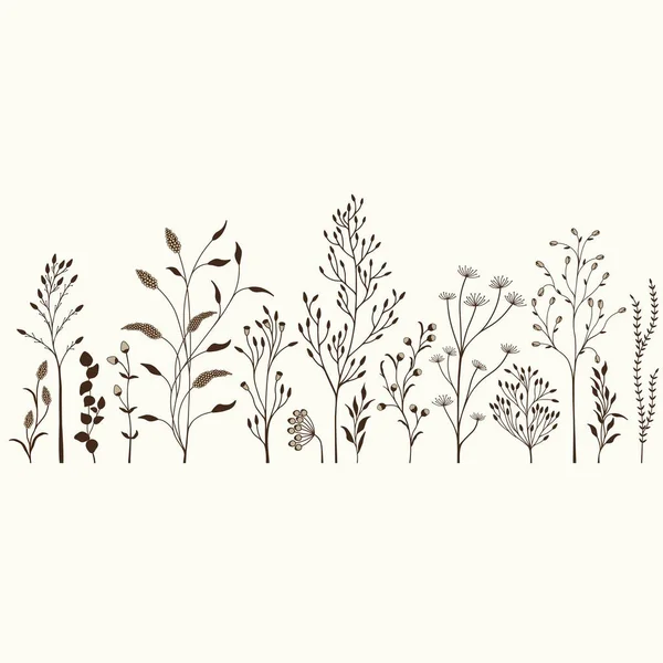 Vector Illustratie Met Set Van Wilde Planten — Stockvector