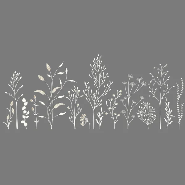 Vektorillustration Mit Einer Reihe Von Wildpflanzen Auf Grauem Hintergrund — Stockvektor