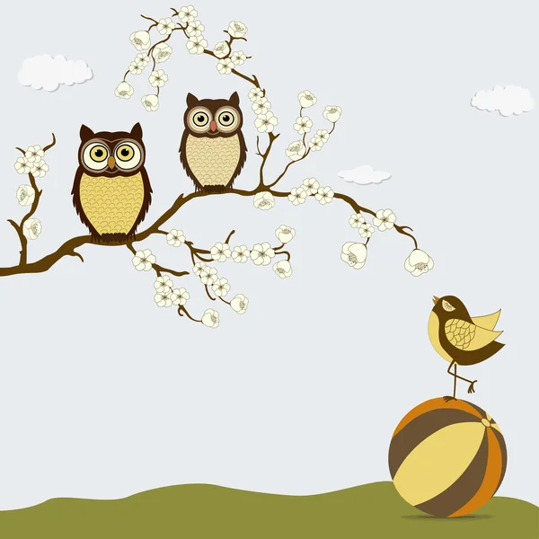 Cute owls on branch with bird on the ball — Stock Vector