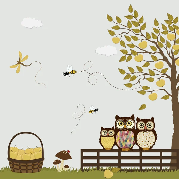 A family of owls in a orchard with apples — Stock Vector