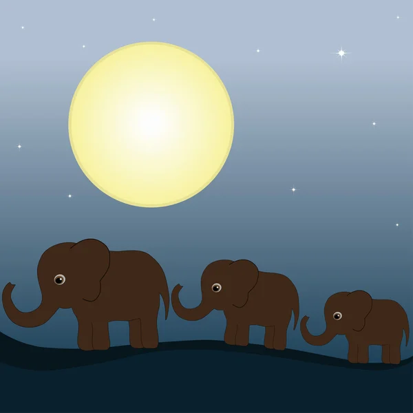 Olifant familie in de nacht — Stockvector