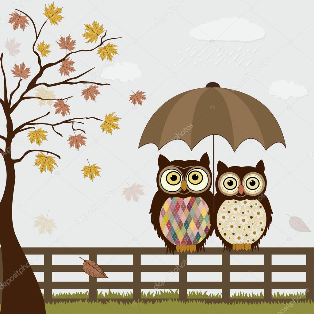 Cute owls on a fence in autumn