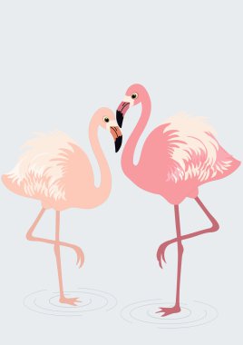 flamingolar çifti 