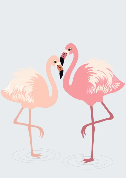 Pair of flamingos — Stock Vector