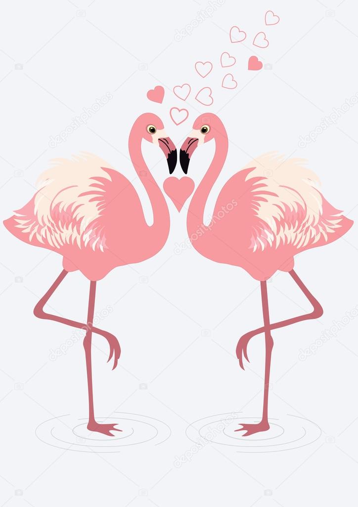 Pair of flamingos 