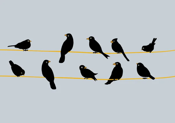 Uccelli neri svegli su un filo — Vettoriale Stock