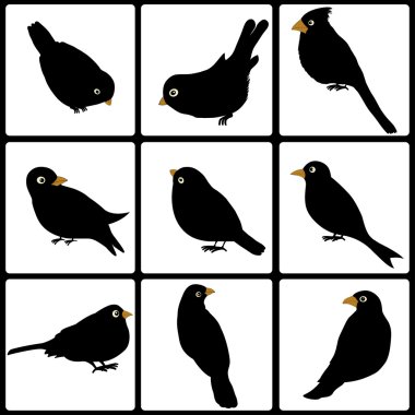 Sevimli siyah kuşlar kümesi