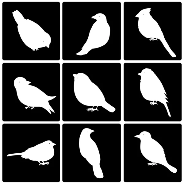 Ícones de pássaros bonitos — Vetor de Stock
