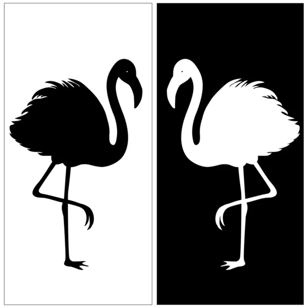 White and black silhouette of flamingos — Stock Vector