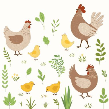 Beyaz arka planda sevimli karikatür tavukları olan çiçek desenli