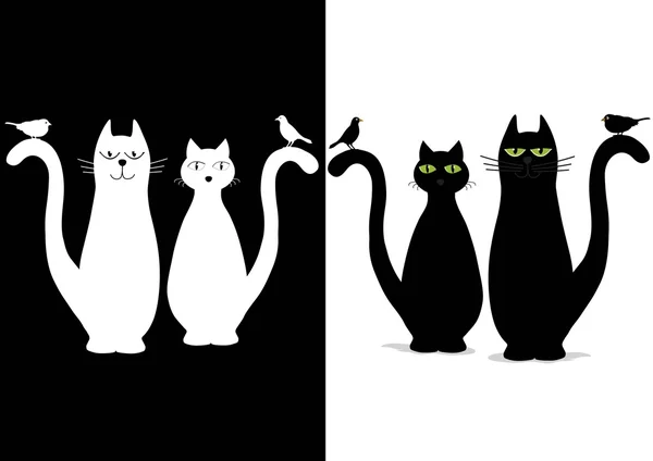 Chats mignons noirs et blancs avec des oiseaux — Image vectorielle