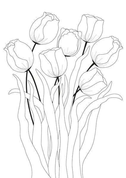 Ramo de tulipanes blancos — Vector de stock