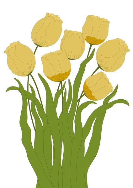 Bukiet żółtych tulipanów — Wektor stockowy
