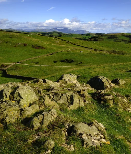 coniston yaşlı adam