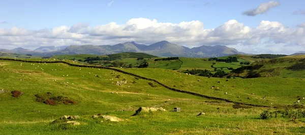 Coniston yaşlı adam — Stok fotoğraf