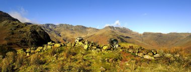 Herdwick koyun fells üzerinde