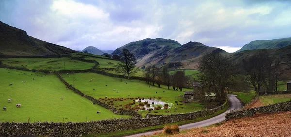 The hills of Martindale — Stock Photo, Image