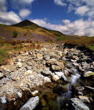 Rannerdale Bluebells