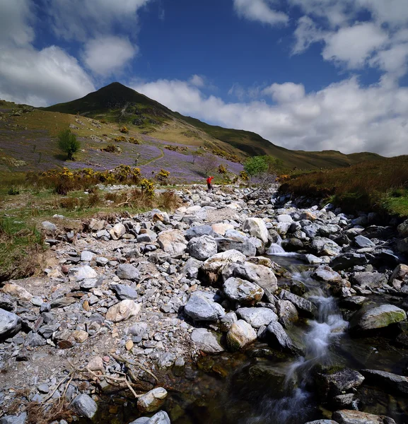 Las campanas azules de Rannerdale — Foto de Stock