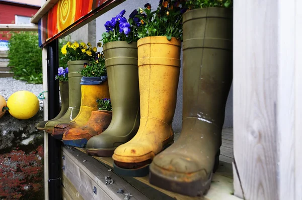 Flores em botas — Fotografia de Stock