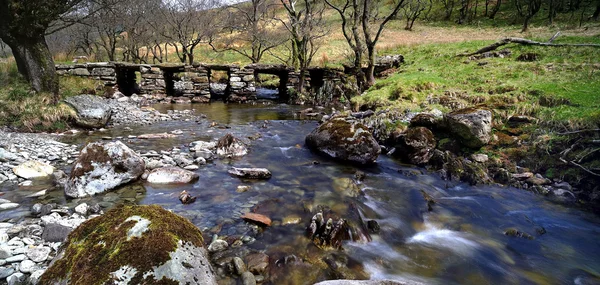 Forellenbeck und Brücke — Stockfoto