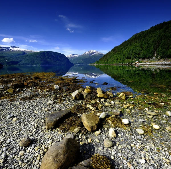 Sommaren reflektioner på fjorden — Stockfoto