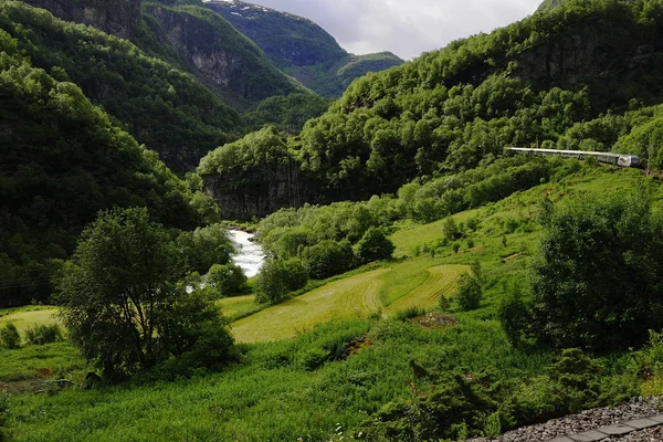 Flaam järnvägen — Stockfoto