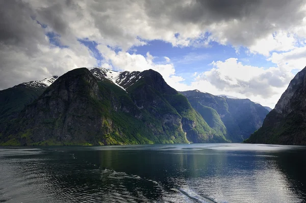 Ağaçlarda güneş ışığı