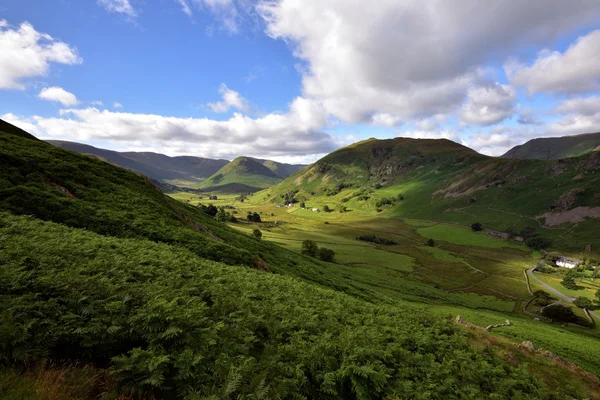 Zonlicht op Martindale-Common — Stockfoto