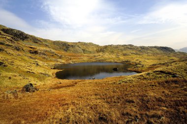 Cordale Tarn
