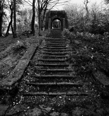 Aşırı büyümüş merdiven