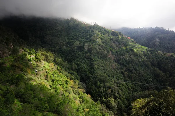 Sunlight on the hillside — Stock Photo, Image