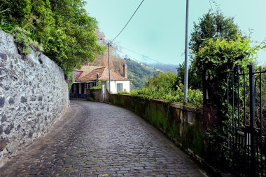 Arnavut kaldırımlı sokakta