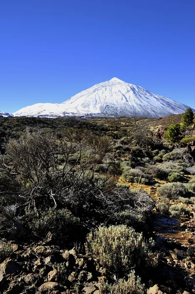 Mount Teide — Stock fotografie