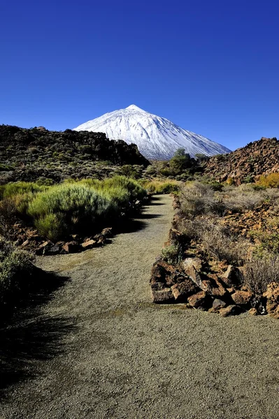 माउंट Teide — स्टॉक फोटो, इमेज