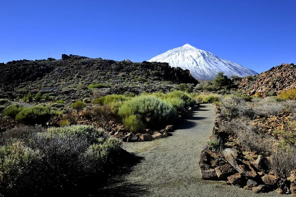 Monte Teide — Foto de Stock