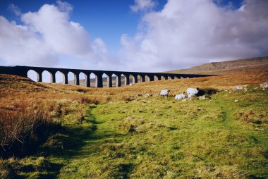 ribblehead demiryolu Köprüsü - kapama - uk