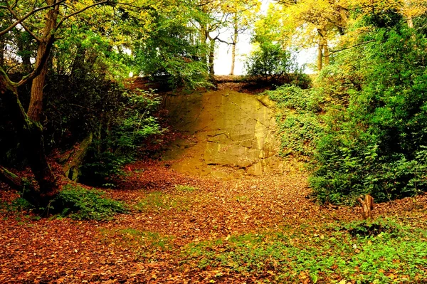 Осенняя деревня — стоковое фото