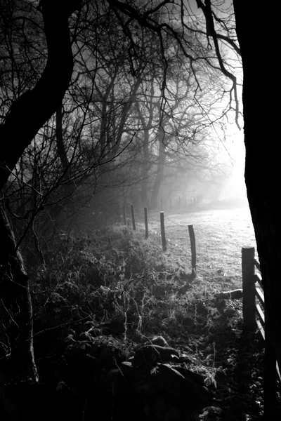 Automne à Wycollar - Angleterre - Royaume-Uni — Photo