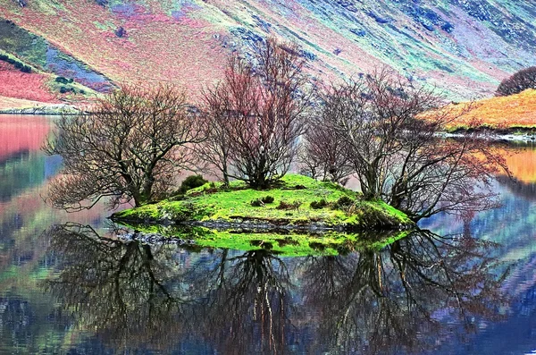 Reflexões — Fotografia de Stock