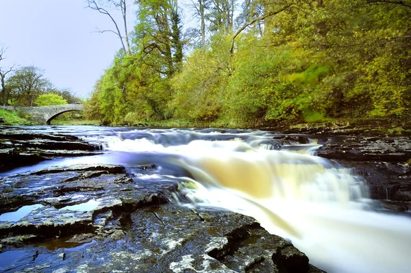 Flood Water — Stock Photo, Image