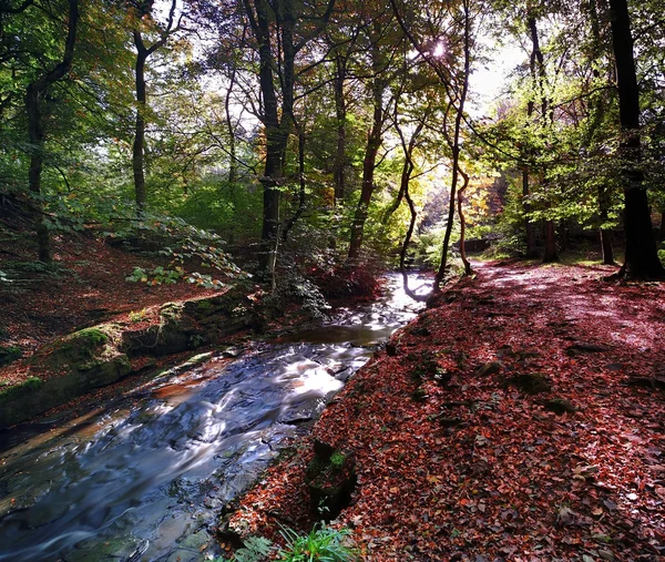 Sturzbach — Stockfoto