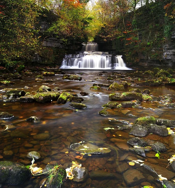 Cotter Force — Stock Photo, Image