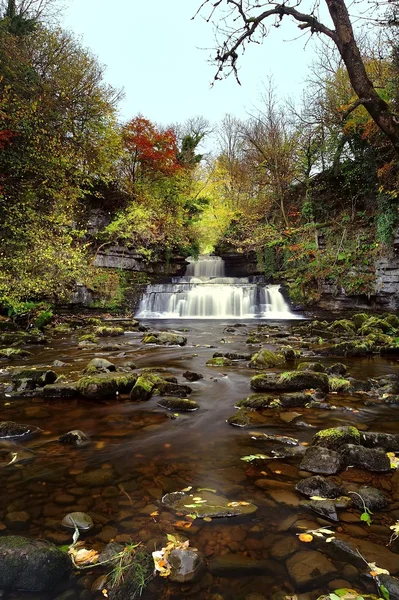 Cotter Force — Stock Photo, Image